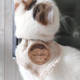 bandana pour chats ou chiens