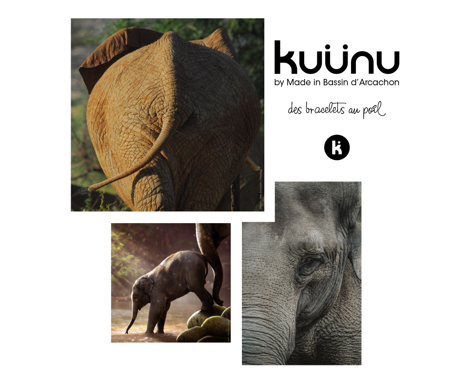 Kuunu bracelet vegan, by Made in Bassin d'Arcachon