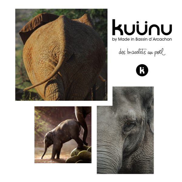 Kuünu by Made in Bassin d'Arcachon